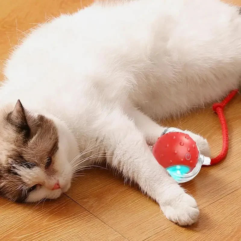 Electric Cat Ball Toys Automatic Rolling Ball Faux Tail Rechargeable Smart Pet Interactive Toy Dog Cat Training Imitate - WoofMeow Hub