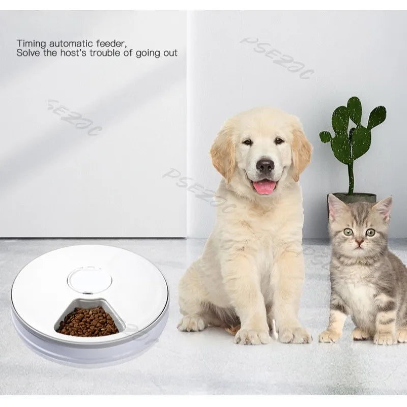 Six Grid Multi Grid Large Capacity Timed Feeding Device Pet Intelligent Automatic Timed Feeding Device Music Reminder