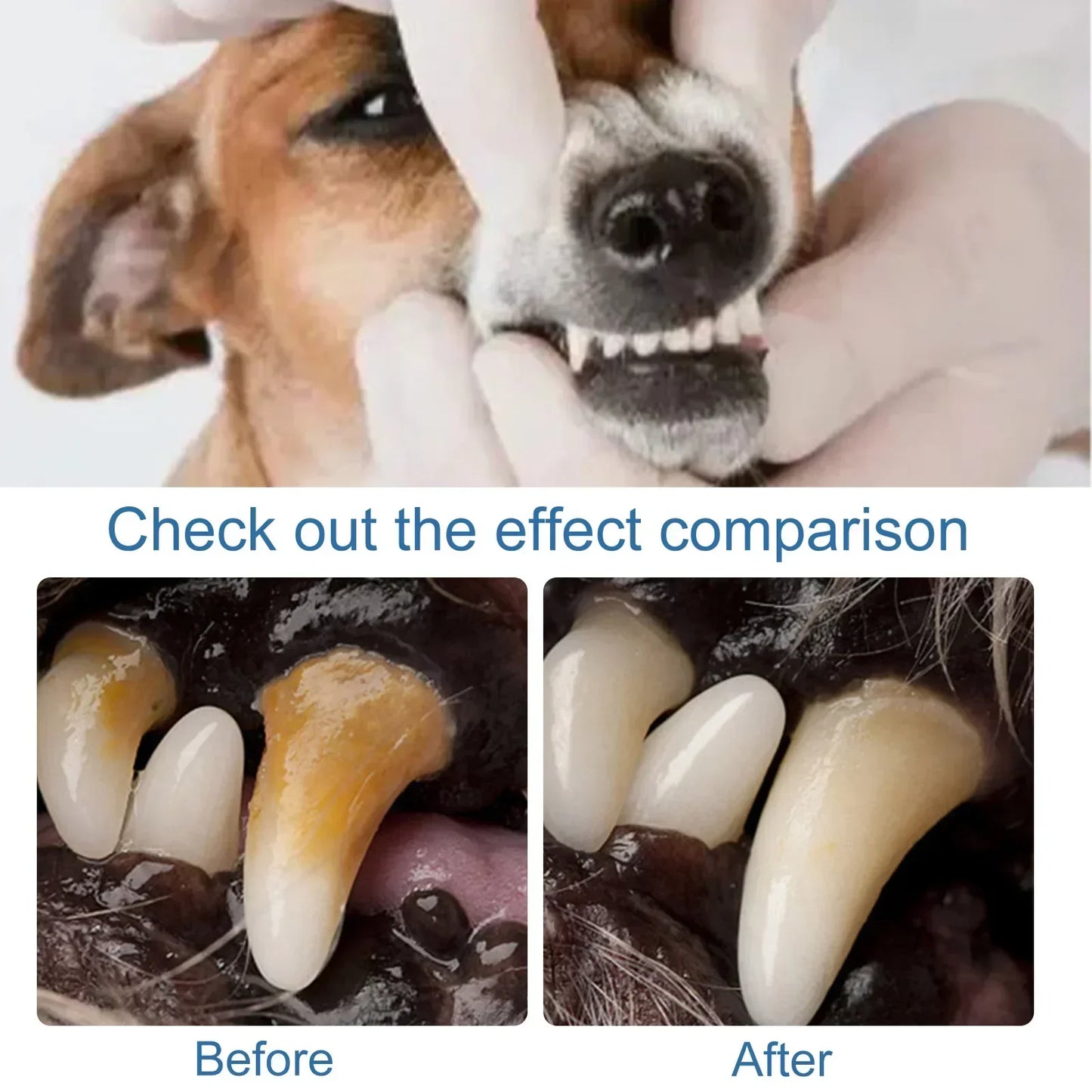 Natural Pet Tartar Remover Foam