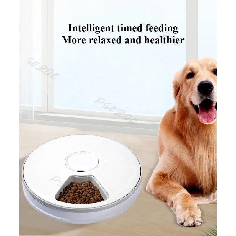 Six Grid Multi Grid Large Capacity Timed Feeding Device Pet Intelligent Automatic Timed Feeding Device Music Reminder