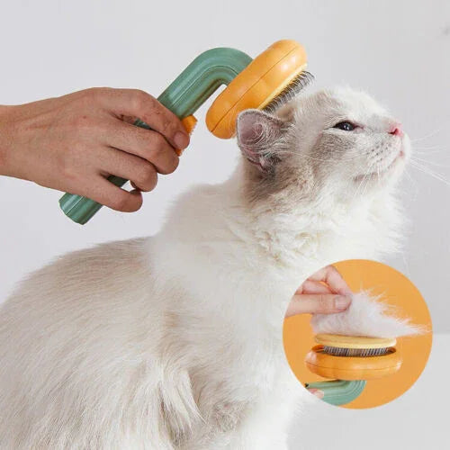 Pet Grooming Brush – Pumpkin Design, Easy Hair Removal