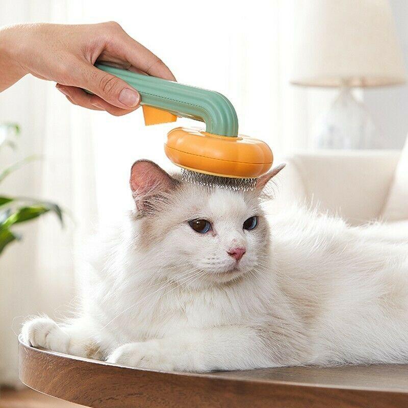 Pet Grooming Brush – Pumpkin Design, Easy Hair Removal