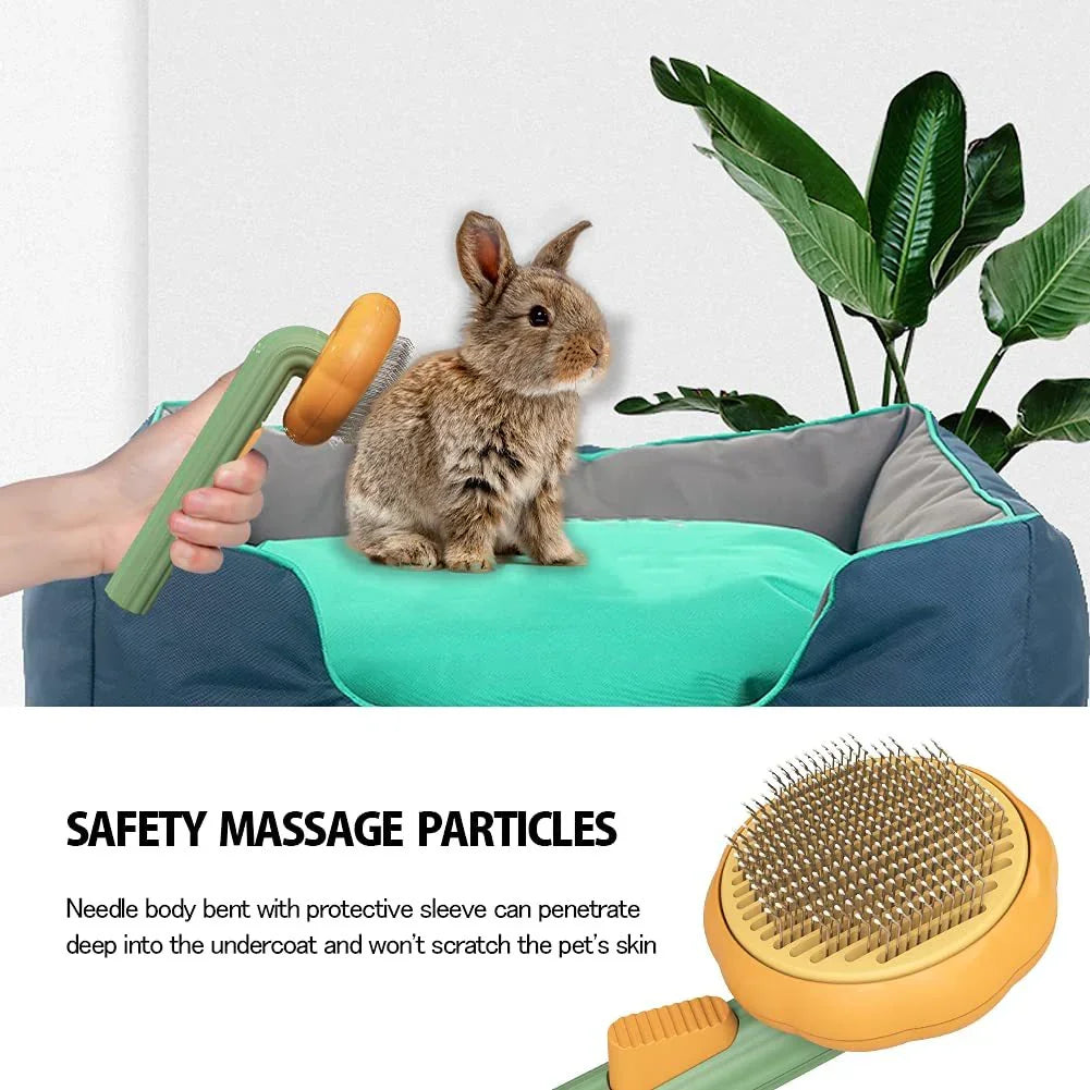 Pet Grooming Brush – Pumpkin Design, Easy Hair Removal