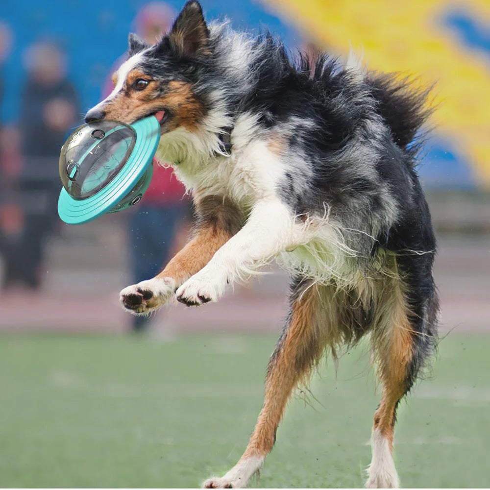 Interactive Treat Ball for Dogs – Slow Feeder & IQ Training Toy - WoofMeow Hub