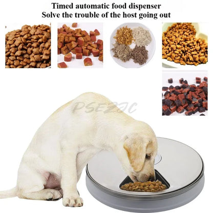 Six Grid Multi Grid Large Capacity Timed Feeding Device Pet Intelligent Automatic Timed Feeding Device Music Reminder