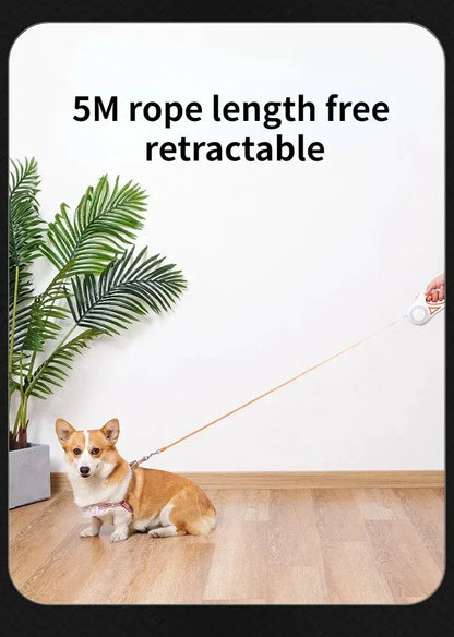 LED Glowing at Night Walking Leash - WoofMeow Hub