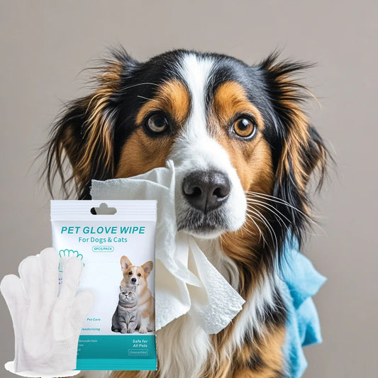 Disposable Pet Cleaning Gloves