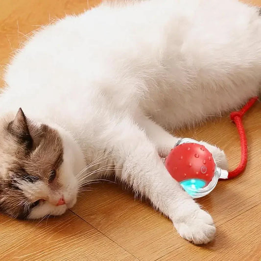 Electric Cat Ball Toys Automatic Rolling Ball Faux Tail Rechargeable Smart Pet Interactive Toy Dog Cat Training Imitate - WoofMeow Hub