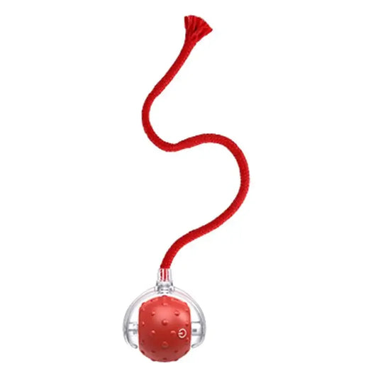 Electric Cat Ball Toys Automatic Rolling Ball Faux Tail Rechargeable Smart Pet Interactive Toy Dog Cat Training Imitate - WoofMeow Hub