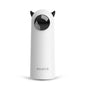 ROJECO Automatic LED Cat Toy