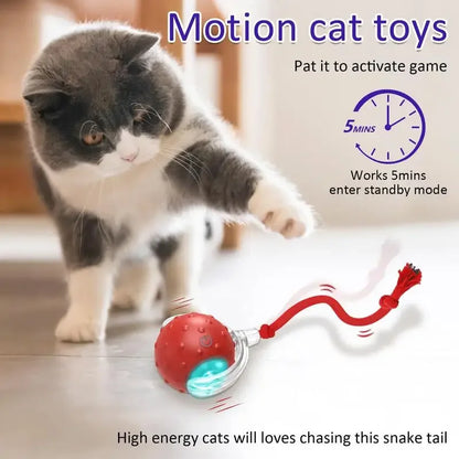 Electric Cat Ball Toys Automatic Rolling Ball Faux Tail Rechargeable Smart Pet Interactive Toy Dog Cat Training Imitate - WoofMeow Hub