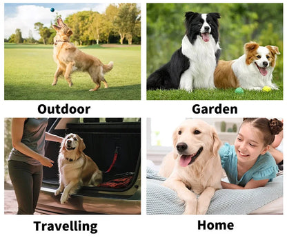 Pet supplies, pet disposable gloves, bathing and cleaning for cats and dogs, dry cleaning, wet wipes, and gloves.